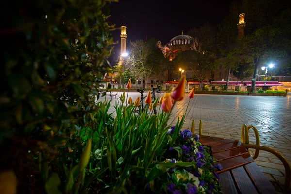 Hagia Sophia Tulip Gardens Esti Esztétikai Fotók — Stock Fotó