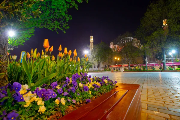 stock image Hagia Sophia and Tulip Gardens , Evening aesthetic photos