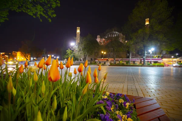 Hagia Sophia Tulip Gardens Evening Aesthetic Photos — 图库照片