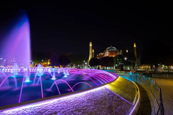 Hagia Sophia Tulip Gardens Evening Fotos Estéticas — Fotografia de Stock