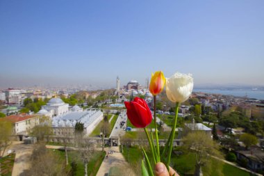 Ayasofya ve İstanbul manzaralı havadan fotoğraflar