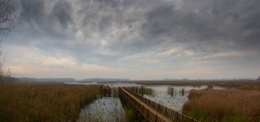 Göldeki iskele. Gökyüzü ve bulutların yansıması. Efteni Gölü, Türkiye.