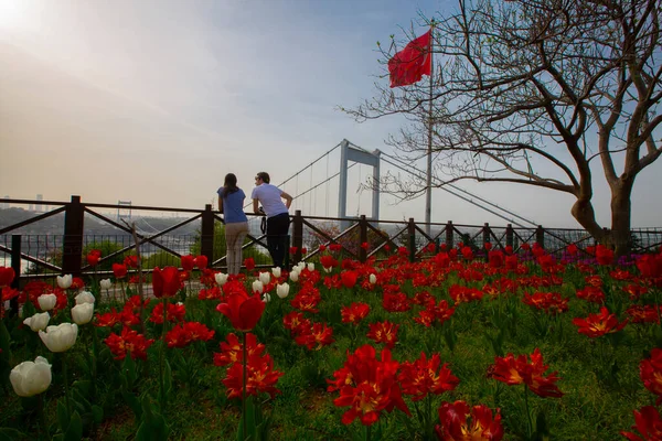 stock image Bosphorus Bridge from otagtepe park istanbul view