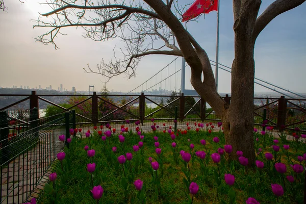 Bosporus Brug Van Otagtepe Park Istanbul Uitzicht — Stockfoto