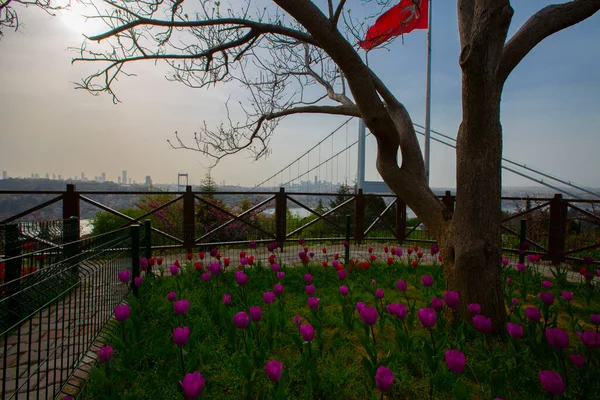 Bosporus Brug Van Otagtepe Park Istanbul Uitzicht — Stockfoto