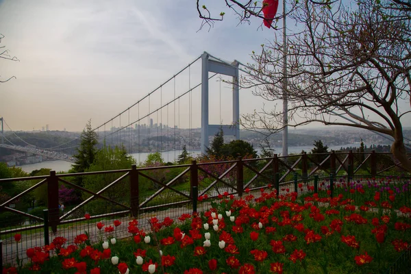 オタゲテパーク イスタンブールからのボスポラス橋 — ストック写真