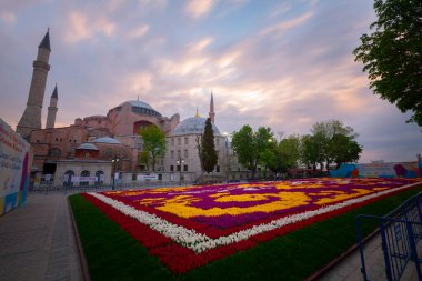 Sultahahmet Meydanı 'nda lale Festivali. İstanbul, Türkiye 'deki laleler ve Mavi Cami.