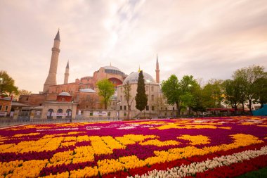 Sultahahmet Meydanı 'nda lale Festivali. İstanbul, Türkiye 'deki laleler ve Mavi Cami.