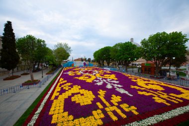 Sultahahmet Meydanı 'nda lale Festivali. İstanbul, Türkiye 'deki laleler ve Mavi Cami.