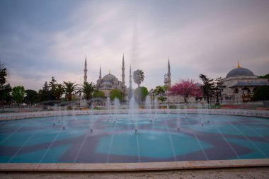 Sultahahmet Meydanı 'nda lale Festivali. İstanbul, Türkiye 'deki laleler ve Mavi Cami.