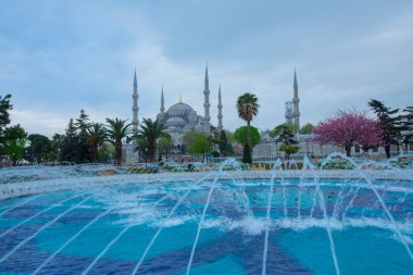 Sultahahmet Meydanı 'nda lale Festivali. İstanbul, Türkiye 'deki laleler ve Mavi Cami.