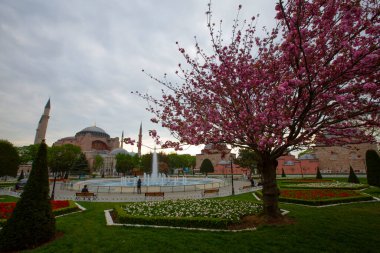 Sultahahmet Meydanı 'nda lale Festivali. İstanbul, Türkiye 'deki laleler ve Mavi Cami.