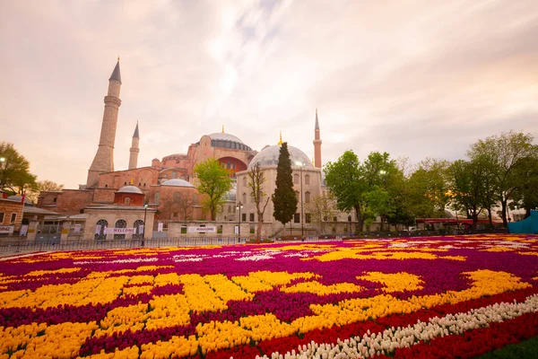 Sultahahmet Meydanı 'nda lale Festivali. İstanbul, Türkiye 'deki laleler ve Mavi Cami.