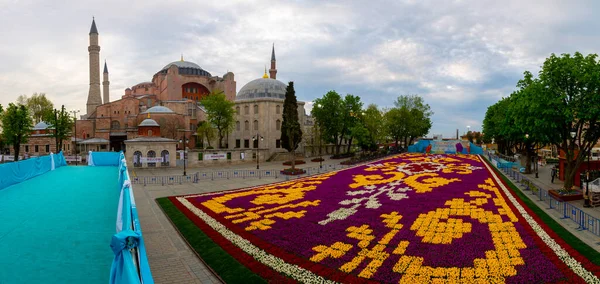 スルタヘト広場でのチューリップ祭 イスタンブール トルコのチューリップとブルーモスク — ストック写真