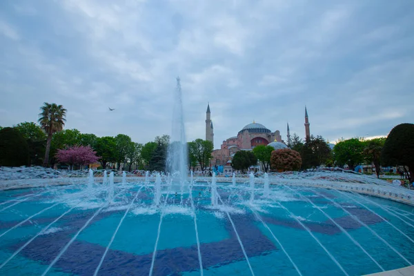 Tulpenfestival Sultahahmet Square Tulpen Blauwe Moskee Istanboel Turkije — Stockfoto