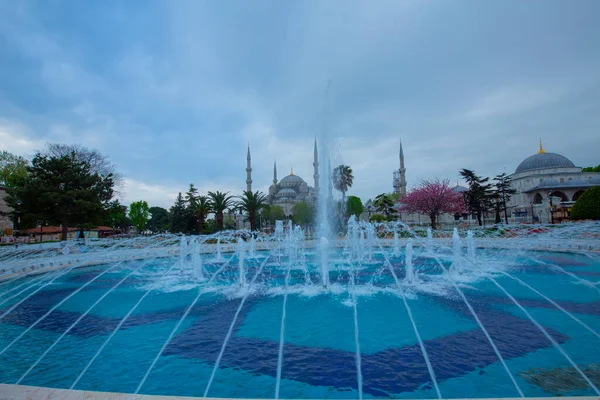 Sultahamet广场的郁金香节 土耳其伊斯坦布尔的郁金香和蓝色清真寺 — 图库照片