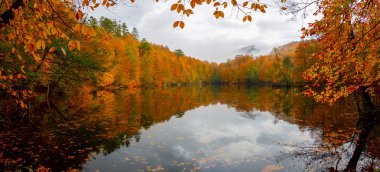 Yedigller - yedi göl milli parkı sonbahar manzarası ahşap iskeleli suya yansıyor - Yedigller Milli Parkı Bolu, Türkiye 'de sonbahar manzarası (yedi göl)