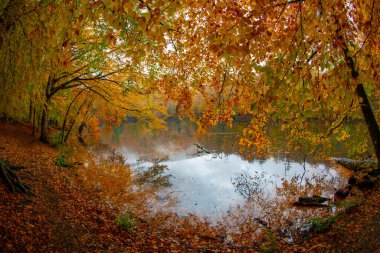 Yedigller - yedi göl milli parkı sonbahar manzarası ahşap iskeleli suya yansıyor - Yedigller Milli Parkı Bolu, Türkiye 'de sonbahar manzarası (yedi göl)