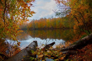 Yedigller - yedi göl milli parkı sonbahar manzarası ahşap iskeleli suya yansıyor - Yedigller Milli Parkı Bolu, Türkiye 'de sonbahar manzarası (yedi göl)
