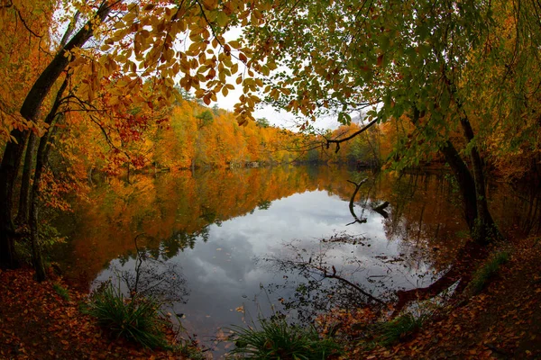 Yedigller Sedm Jezer Národní Park Podzimní Les Krajina Odraz Vodě — Stock fotografie
