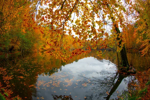 Yedigller Zeven Meren Nationaal Park Herfst Bos Landschap Reflectie Het — Stockfoto