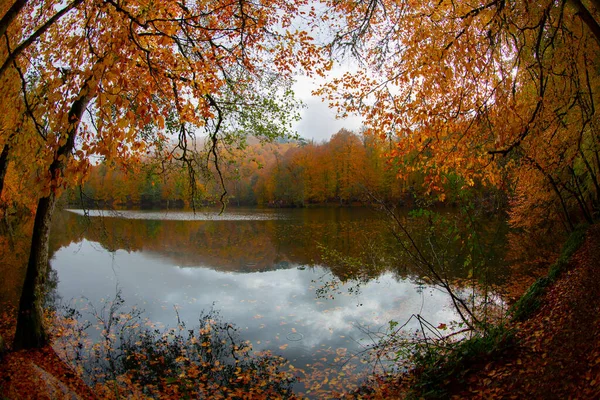 Yedigller Seven Lake Nationalpark Autumn Forest Landscape Reflection Water Wood — Stockfoto