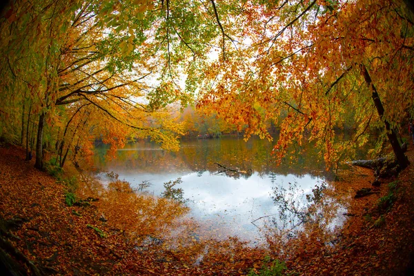 stock image Yedigller - seven lake national park Autumn forest landscape reflection on the water with wooden pier - Autumn landscape in (seven lakes) Yedigller Milli Park Bolu, Turkey