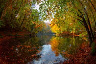 Yedigller - yedi göl milli parkı sonbahar manzarası ahşap iskeleli suya yansıyor - Yedigller Milli Parkı Bolu, Türkiye 'de sonbahar manzarası (yedi göl)