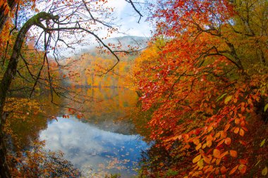 Yedigller - yedi göl milli parkı sonbahar manzarası ahşap iskeleli suya yansıyor - Yedigller Milli Parkı Bolu, Türkiye 'de sonbahar manzarası (yedi göl)