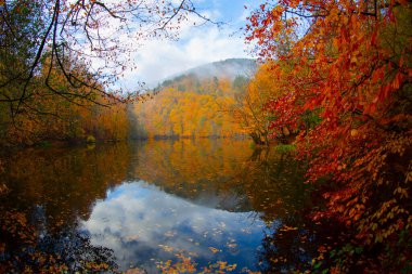 Yedigller - yedi göl milli parkı sonbahar manzarası ahşap iskeleli suya yansıyor - Yedigller Milli Parkı Bolu, Türkiye 'de sonbahar manzarası (yedi göl)