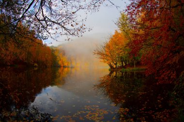 Yedigller - yedi göl milli parkı sonbahar manzarası ahşap iskeleli suya yansıyor - Yedigller Milli Parkı Bolu, Türkiye 'de sonbahar manzarası (yedi göl)