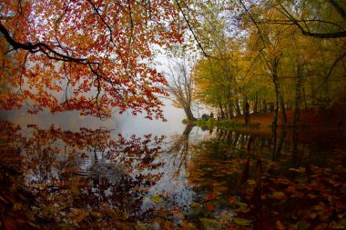 Yedigller - yedi göl milli parkı sonbahar manzarası ahşap iskeleli suya yansıyor - Yedigller Milli Parkı Bolu, Türkiye 'de sonbahar manzarası (yedi göl)