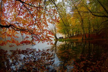 Yedigller - yedi göl milli parkı sonbahar manzarası ahşap iskeleli suya yansıyor - Yedigller Milli Parkı Bolu, Türkiye 'de sonbahar manzarası (yedi göl)