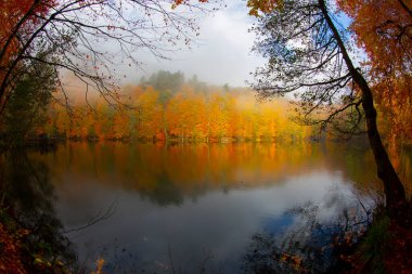Yedigller - yedi göl milli parkı sonbahar manzarası ahşap iskeleli suya yansıyor - Yedigller Milli Parkı Bolu, Türkiye 'de sonbahar manzarası (yedi göl)