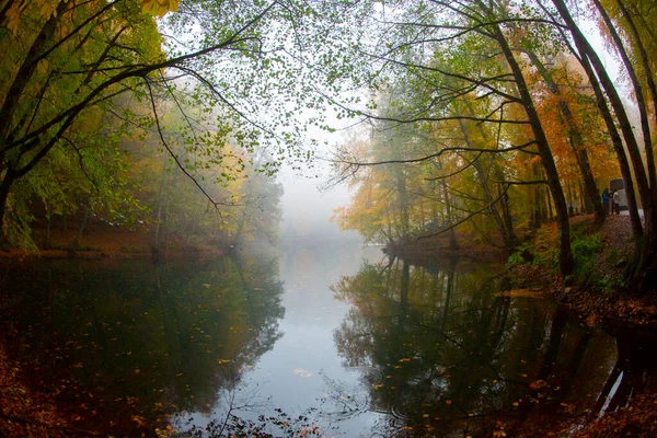 Едиглер Семь Озер Национального Парка Осенний Лесной Пейзаж Отражение Воде — стоковое фото