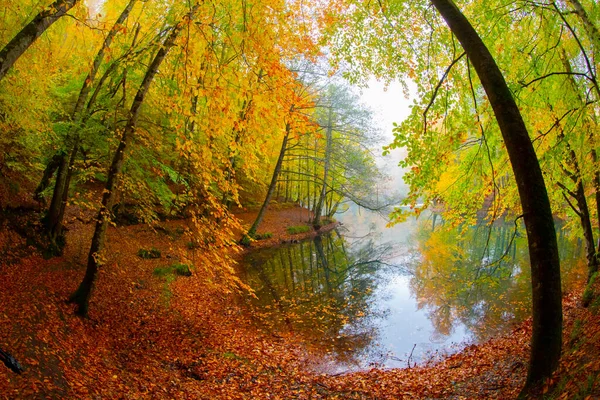 Yedigller Siedem Jezior Park Narodowy Jesienny Krajobraz Leśny Odbicie Wodzie — Zdjęcie stockowe