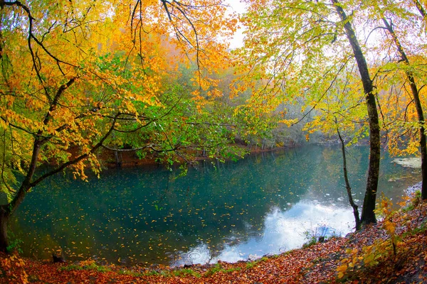 Yedigller Seven Lake Nationalpark Autumn Forest Landscape Reflection Water Wood — Stockfoto