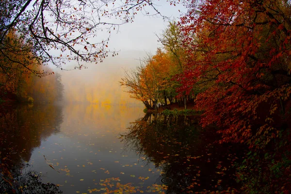 Yedigller Sete Lago Parque Nacional Outono Floresta Paisagem Reflexão Sobre — Fotografia de Stock