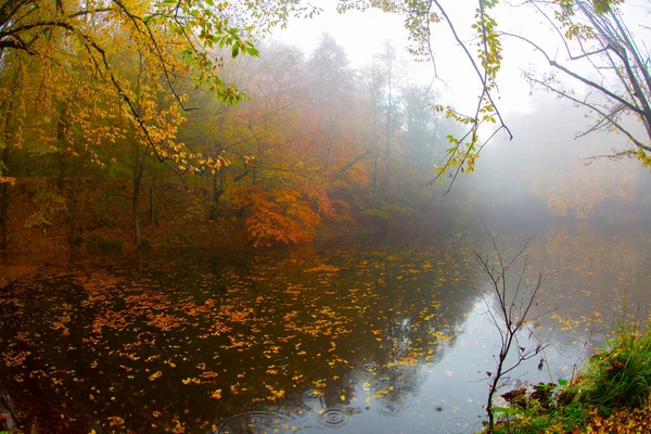 Yedigller Siedem Jezior Park Narodowy Jesienny Krajobraz Leśny Odbicie Wodzie — Zdjęcie stockowe