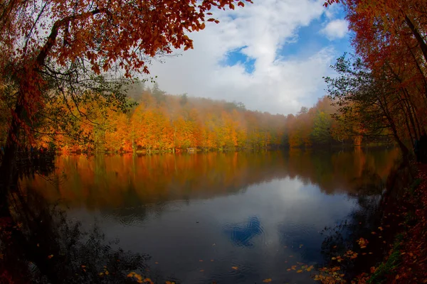 Yedigller Sedm Jezer Národní Park Podzimní Les Krajina Odraz Vodě — Stock fotografie