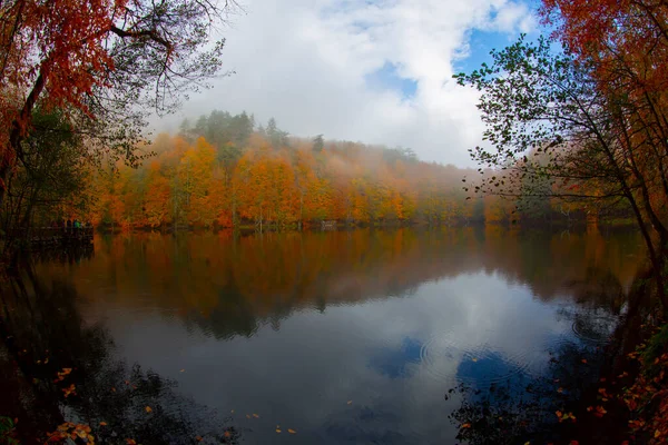 Yedigller 7湖国立公園木製の桟橋で水に秋の森林景観反射 秋の風景 Yedigller Mili Park Bolu Turkey — ストック写真