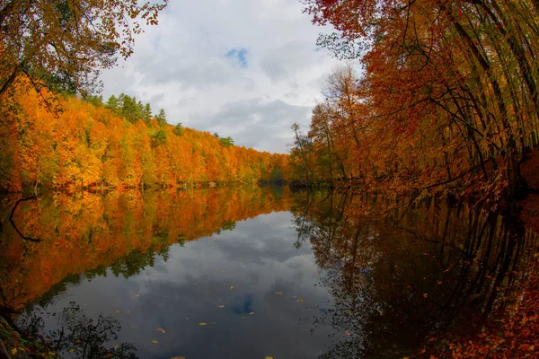 Yedigller Sept Lacs Parc National Automne Forêt Paysage Réflexion Sur — Photo