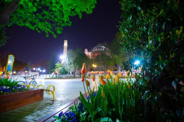 Sultanahmet bölgesindeki Lale Festivali sırasında İstanbul 'dan laleler