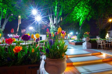 Sultanahmet bölgesindeki Lale Festivali sırasında İstanbul 'dan laleler