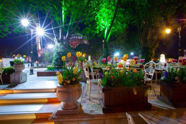 Sultanahmet bölgesindeki Lale Festivali sırasında İstanbul 'dan laleler