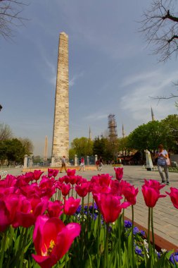 Sultanahmet bölgesindeki Lale Festivali sırasında İstanbul 'dan laleler
