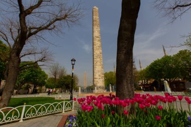 Sultanahmet bölgesindeki Lale Festivali sırasında İstanbul 'dan laleler