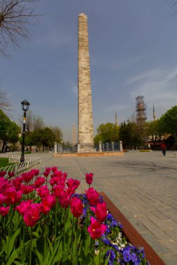 Sultanahmet bölgesindeki Lale Festivali sırasında İstanbul 'dan laleler