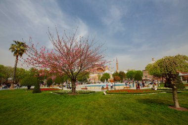 Sultanahmet bölgesindeki Lale Festivali sırasında İstanbul 'dan laleler