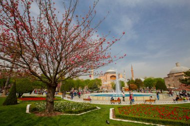 Sultanahmet bölgesindeki Lale Festivali sırasında İstanbul 'dan laleler